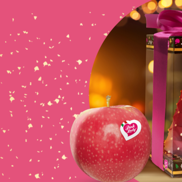 PINKALADY-Natale-mela